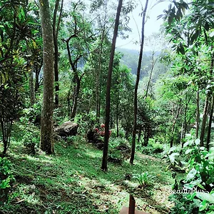 Royal Mount , Kandy Sri Lanka